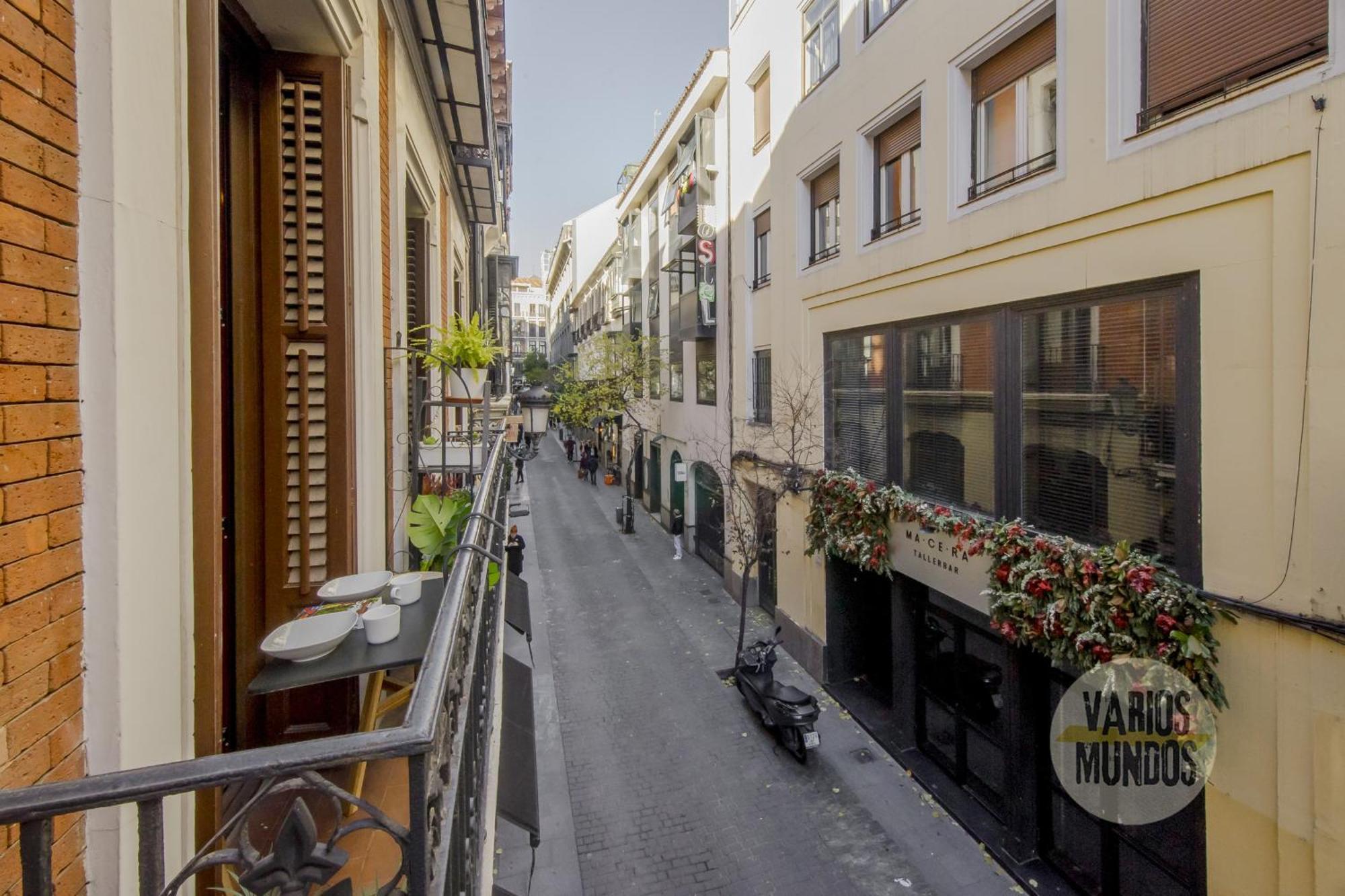 Beautiful Loft 3pax En Huertas-cortes