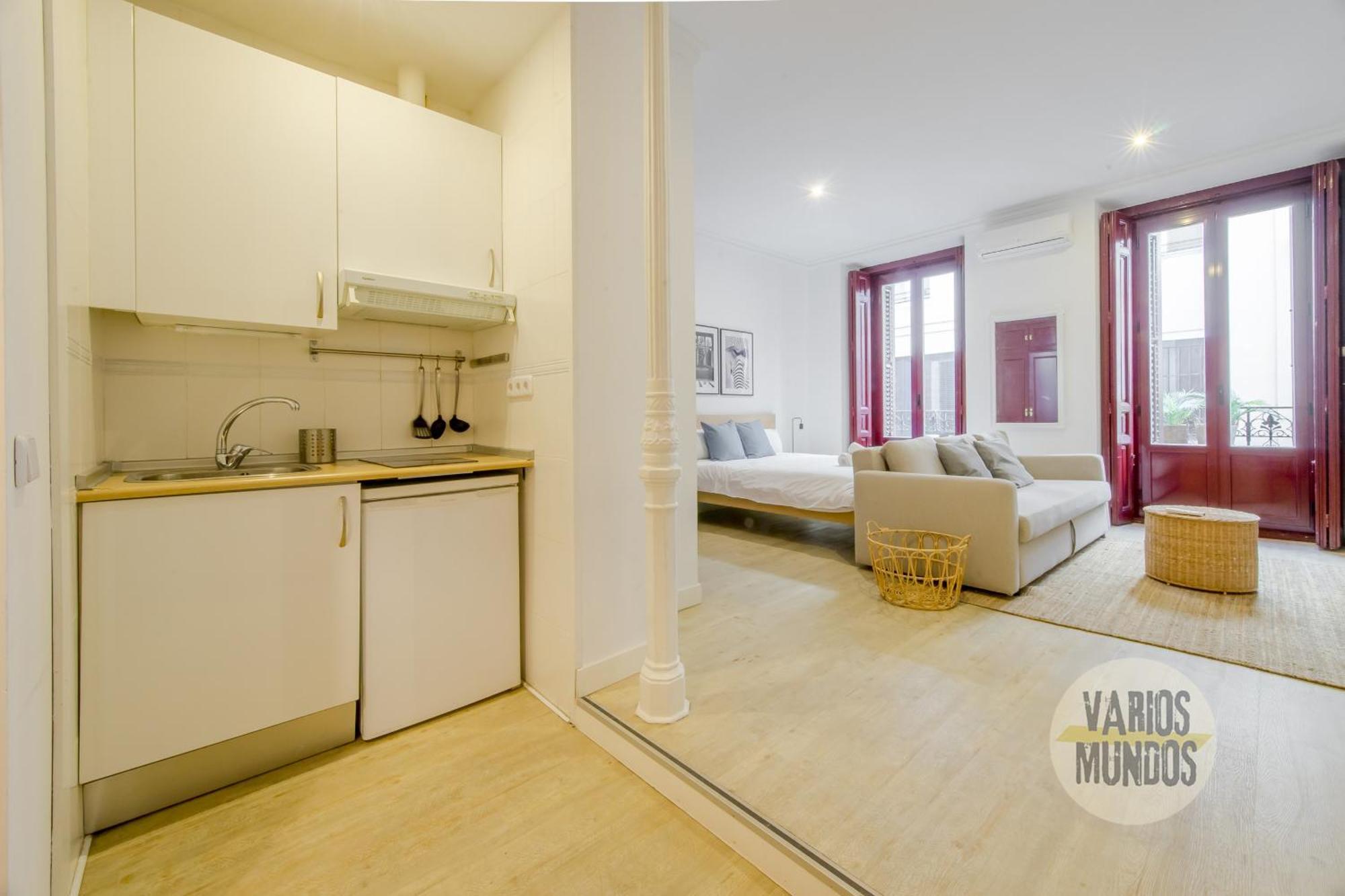 Beautiful Loft 3pax En Huertas-cortes Madrid